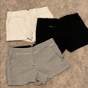 Bcbg shorts set of 3